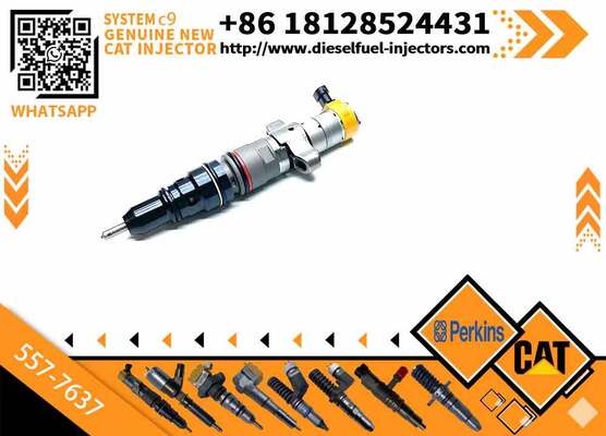 Original diesel Fuel C9 Injector 557-7637 T434154 5577637 387-9437 459-8473