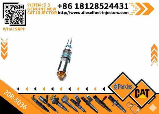 Quality Common Rail Fuel Injector 363-0493 456-3493 20R-5036 for CAT Engineering