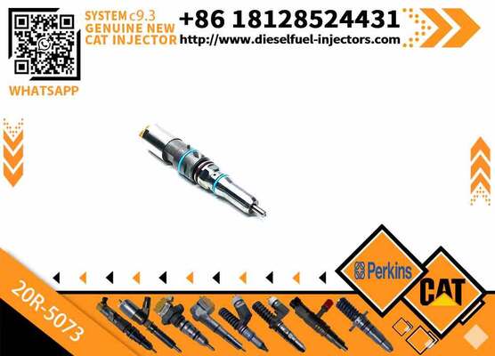 YS 456-3589 20R-5073 Excavator Fuel Injector Common Rail Injector for C9.3 Engine