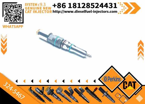 Common Rail Fuel Injector 304-3637 324-5467 342-5487