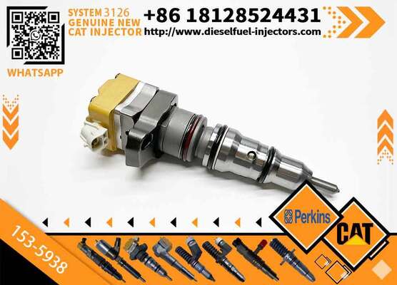Engine 3126 3126B 211-0565 128-6601 153-5938 155-1819 155-8723 169-7411 169-7410 Fuel Injector For Excavator E325C 325c
