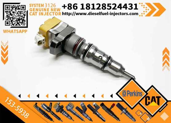 Engine 3126 3126B 211-0565 128-6601 153-5938 155-1819 155-8723 169-7411 169-7410 Fuel Injector For Excavator E325C 325c