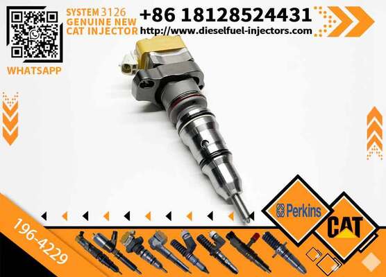 Common Rail Injector 196-4229 198-6605 198-6877 20R-4147 for 3126 Engine 1964229 1986605 1986877