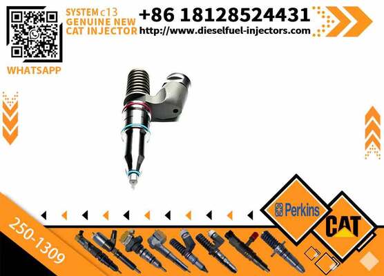 Fuel Injector 250-1309 10R-3258 2501309 10R3258 for C13 Engine