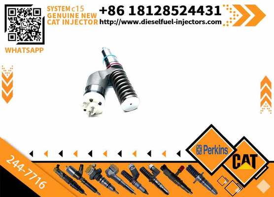 Engine Fuel Injector 10R-1000 10R1000 244-7716 2447716