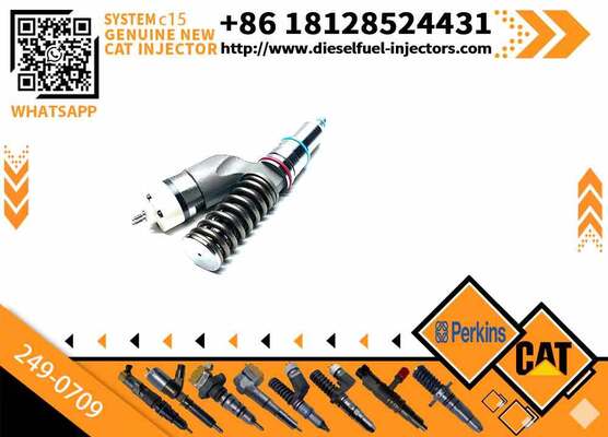 Common Rail Diesel Fuel Injector 249-0709 2490709 for