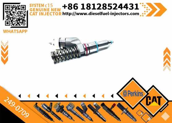 Common Rail Diesel Fuel Injector 249-0709 2490709 for