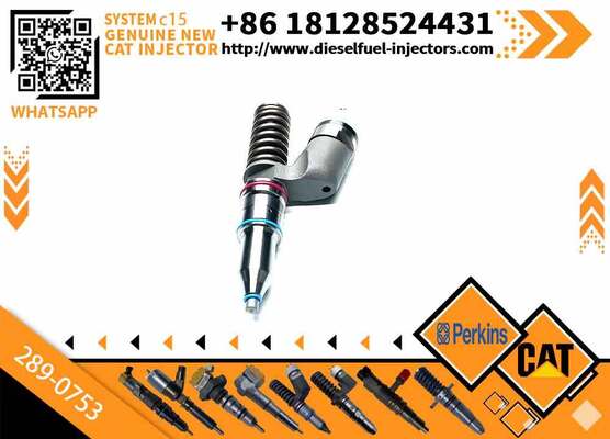 Fuel Injector 289-0753 20R-5036 2890753 20R5036 for