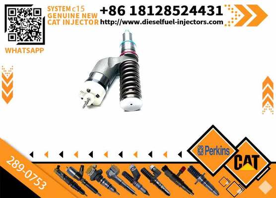 Fuel Injector 289-0753 20R-5036 2890753 20R5036 for