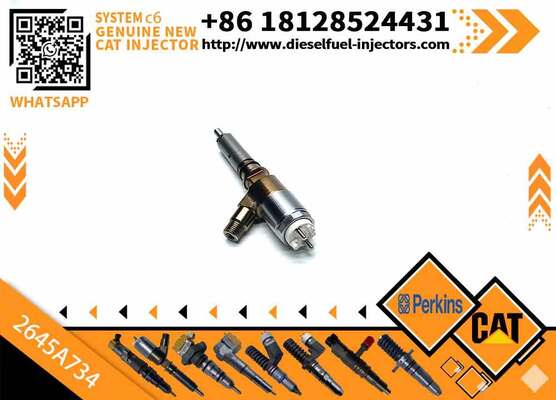Excavator Injector 2645A718 2645A734 2645A747 for