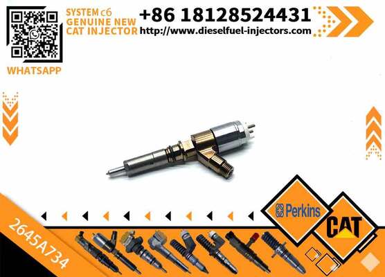 Excavator Injector 2645A718 2645A734 2645A747 for