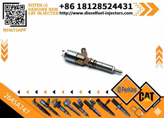 Common Rail Diesel Engine Spare Parts Injector 2645A747 10R-7939 320-0688 for
