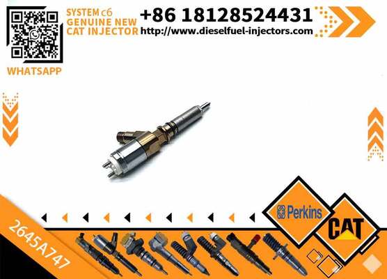 Common Rail Diesel Engine Spare Parts Injector 2645A747 10R-7939 320-0688 for