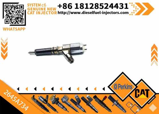 Excavator Injector 2645A718 2645A734 2645A747 for