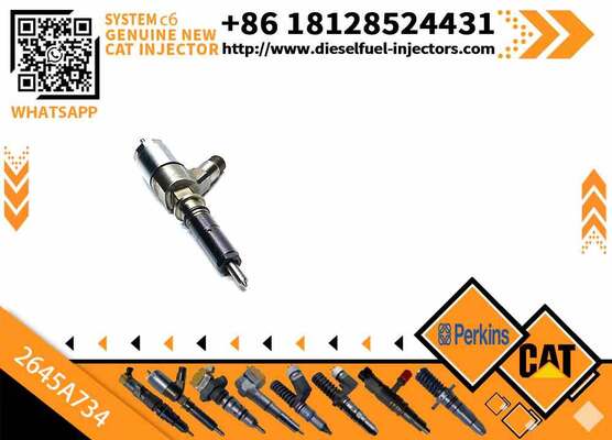 Excavator Injector 2645A718 2645A734 2645A747 for