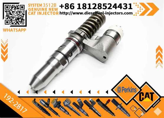 Factory Direct Supply Common Rail Injector 192-2817 0R-3539 245-8272 10R-8795 2458272 1922817 High Quality