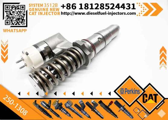 Engine 196-5802 250-1308 10R-1280 250-1301 2501301 2501308 10R1280 1965802 Common Rail Fuel Injector for 3512 3508 3516 3516B
