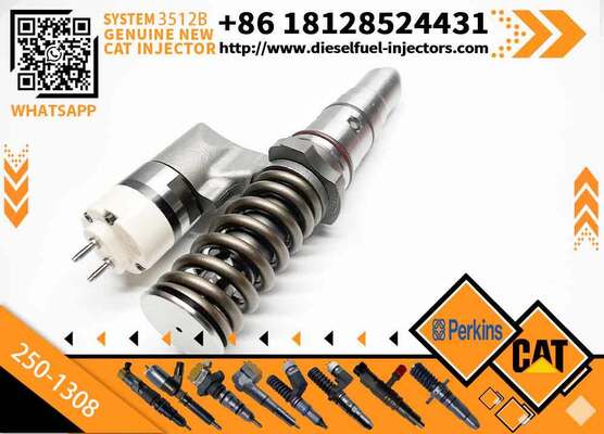 Engine 196-5802 250-1308 10R-1280 250-1301 2501301 2501308 10R1280 1965802 Common Rail Fuel Injector for 3512 3508 3516 3516B