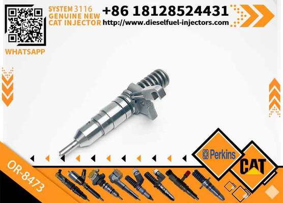 For C-A-T 3114 3116 Engine Diesel Fuel InjectorOR-8867 OR8867 OR-8473 0R-8467 for E320B 322B 322C 325B Cat-erpillar