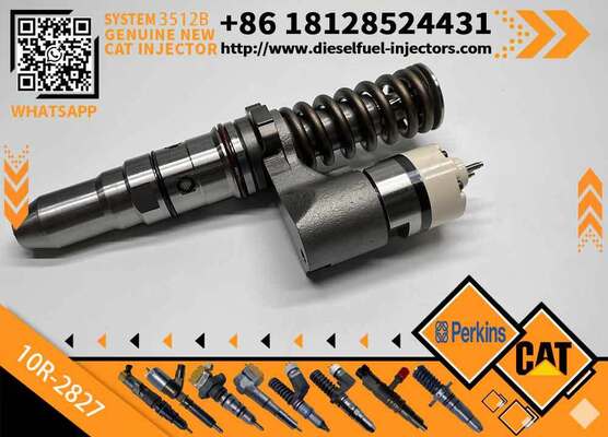 New Common Rail Injector 10R-2827 20R3483 20R-3247 389-1969 379-0509 386-1771 10R-3255 for diesel Engine CAT
