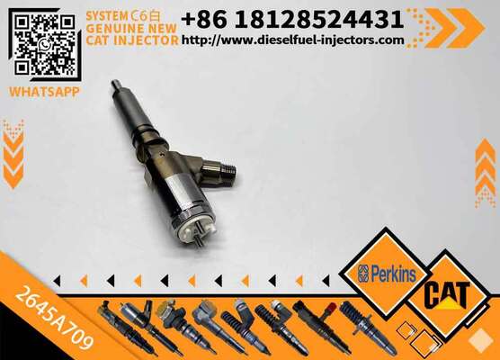 New Condition C6 Engine Diesel Fuel Injector 320-0690 320-0680 2645A709 295-9130 382-0480 Injector Parts for Excavator