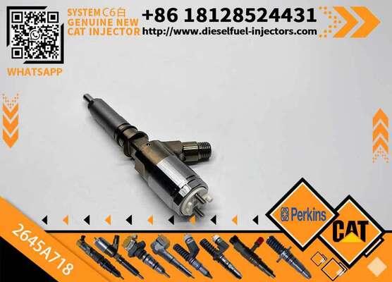Original Quality Common Rail Fuel Injector 292-3780 2645A718 10R-7670 Engine Fuel Injector for C6.6 3116 6.6L 323D C4.4 Inyector