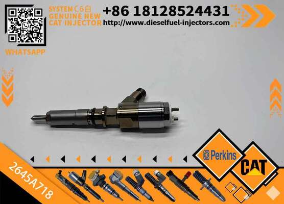 Original Quality Common Rail Fuel Injector 292-3780 2645A718 10R-7670 Engine Fuel Injector for C6.6 3116 6.6L 323D C4.4 Inyector