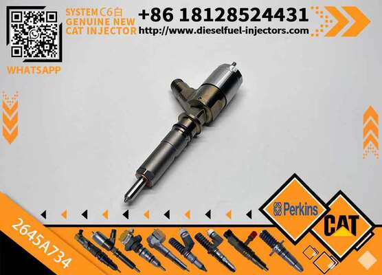 Excavator Injector 2645A718 2645A734 2645A747 for C4 C6 Diesel Engine Parts Nozzle Assembly