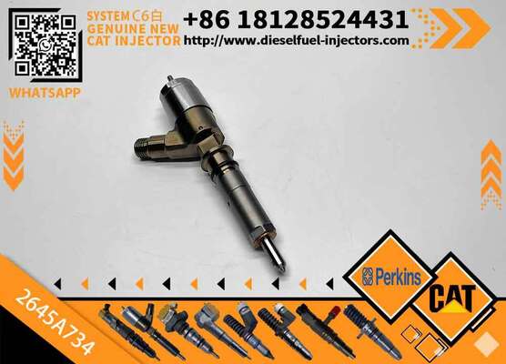 Excavator Injector 2645A718 2645A734 2645A747 for C4 C6 Diesel Engine Parts Nozzle Assembly
