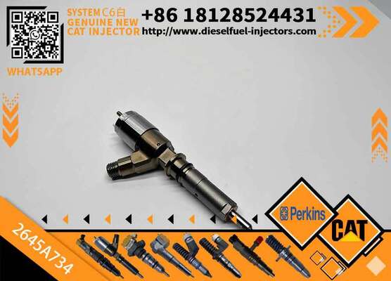 Excavator Injector 2645A718 2645A734 2645A747 for C4 C6 Diesel Engine Parts Nozzle Assembly