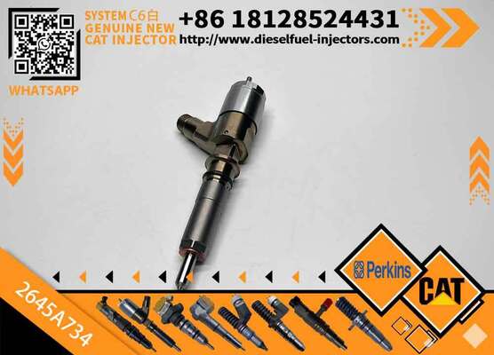 Excavator Injector 2645A718 2645A734 2645A747 for C4 C6 Diesel Engine Parts Nozzle Assembly