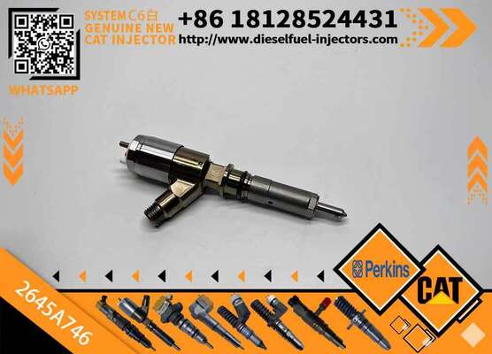 Excavator Injector 2645A737 2645A738 2645A746 for C4 C6 Diesel Engine Parts Nozzle Assembly