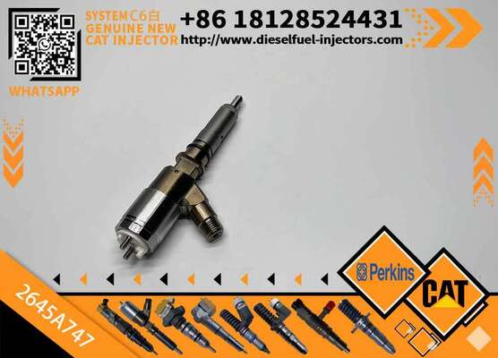Excavator Injector 2645A718 2645A734 2645A747 for C4 C6 Diesel Engine Parts Nozzle Assembly