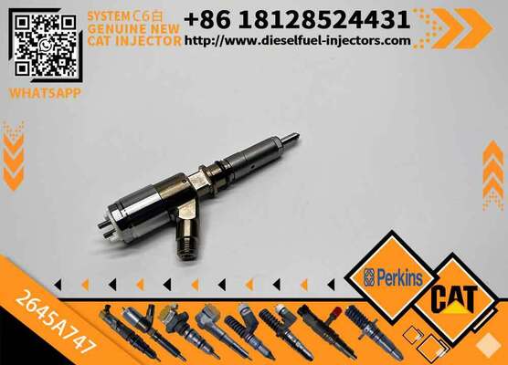 Excavator Injector 2645A718 2645A734 2645A747 for C4 C6 Diesel Engine Parts Nozzle Assembly