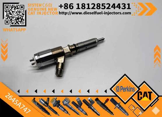 Excavator Injector 2645A718 2645A734 2645A747 for C4 C6 Diesel Engine Parts Nozzle Assembly
