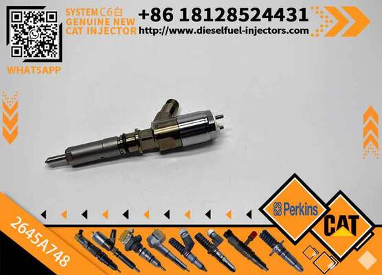 Diesel Injector for Cate-rpillar C6.6 Engine Machinery Engine Parts 2923788 2645A748 2645A740 2645A739 10R7939 306-9388 3069388