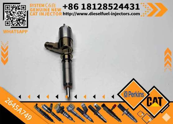 New Cat-erpillar C4.4/C6.6 Diesel Engine Injector 2645A751 320-0677 2645A746 320-0690 2645A749 320-0680 Common Rail Injector