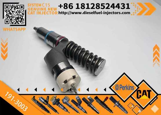 Excavator Injector 1913003 191-3003 2113023 211-3023 for C15 Engine Parts Diesel Nozzle Assembly