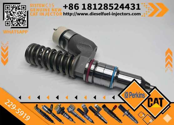 New Injector 229-5919 for Diesel Engine Common Rail Injection Valve High Quality Supply 2295919