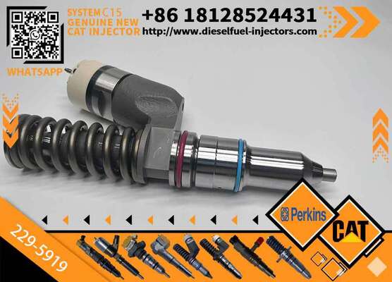 New Injector 229-5919 for Diesel Engine Common Rail Injection Valve High Quality Supply 2295919