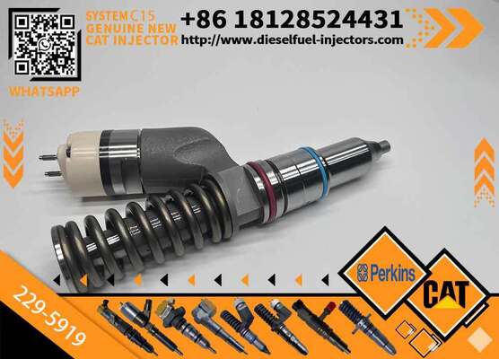 New Injector 229-5919 for Diesel Engine Common Rail Injection Valve High Quality Supply 2295919