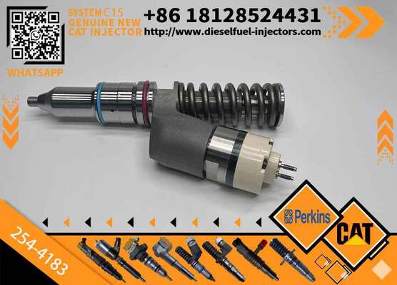 Injection Valve 254-4183 2544183 for diesel Engine Fuel Injection Pump Injector Assembly High Quality Supply