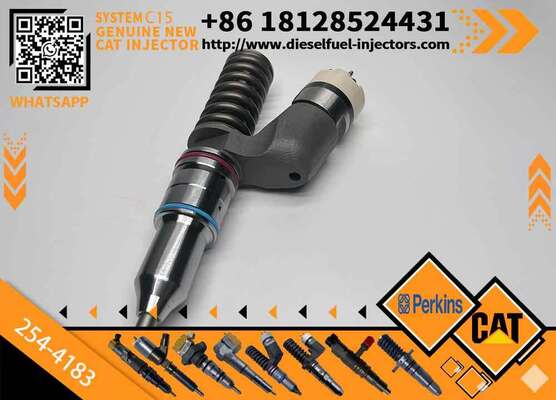 Injection Valve 254-4183 2544183 for diesel Engine Fuel Injection Pump Injector Assembly High Quality Supply
