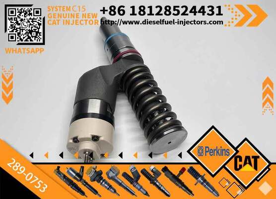 YS Fuel Injector 289-0753 2890753 Diesel Engine Fuel Injector 20R-5036 20R5036 for CAT C15 C18 C11 C10 3406E