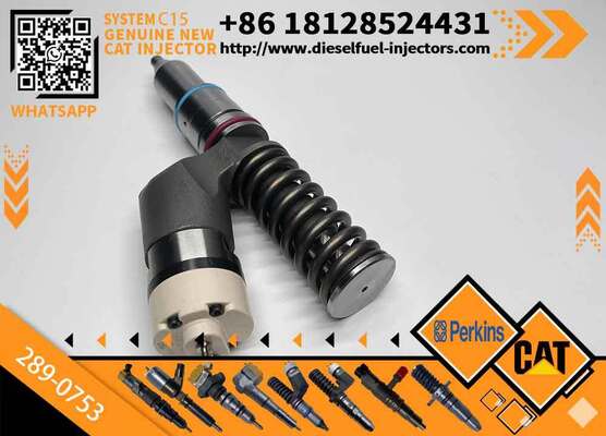YS Fuel Injector 289-0753 2890753 Diesel Engine Fuel Injector 20R-5036 20R5036 for CAT C15 C18 C11 C10 3406E