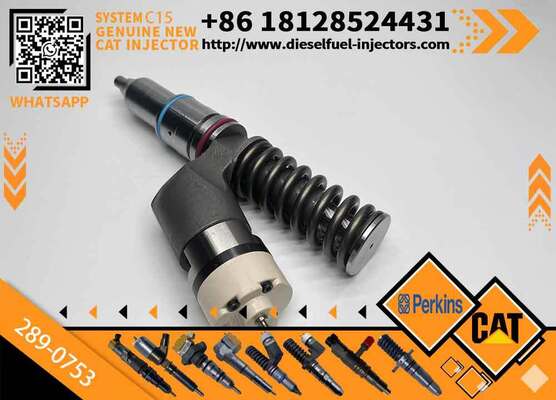 YS Fuel Injector 289-0753 2890753 Diesel Engine Fuel Injector 20R-5036 20R5036 for CAT C15 C18 C11 C10 3406E