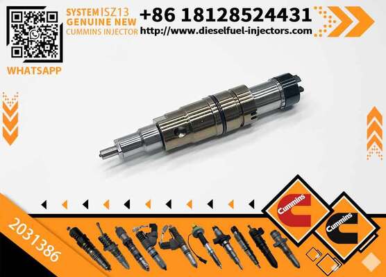 New 2894920PX 2058444 2482244 2031386 Common Rail Injector for ISZ13 Excavator Diesel Fuel DC09 DC16 DC13
