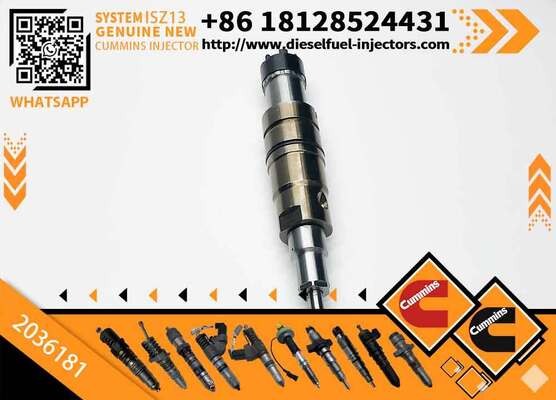 Diesel Engine Parts Excavator XPI Diesel Fuel Injector 2036181 for Scania RDC13A DC16A Engine