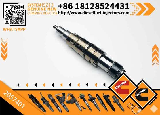 Fuel Injector Assembly 2872544 2086663 2057401 2872405 203183 Common Rail Injector