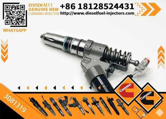 Special Offer Fuel Injector Assembly 3081319 for Cum-mins Engine M11 Series